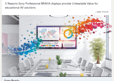 Sony BRAVIA Commercial Campaign